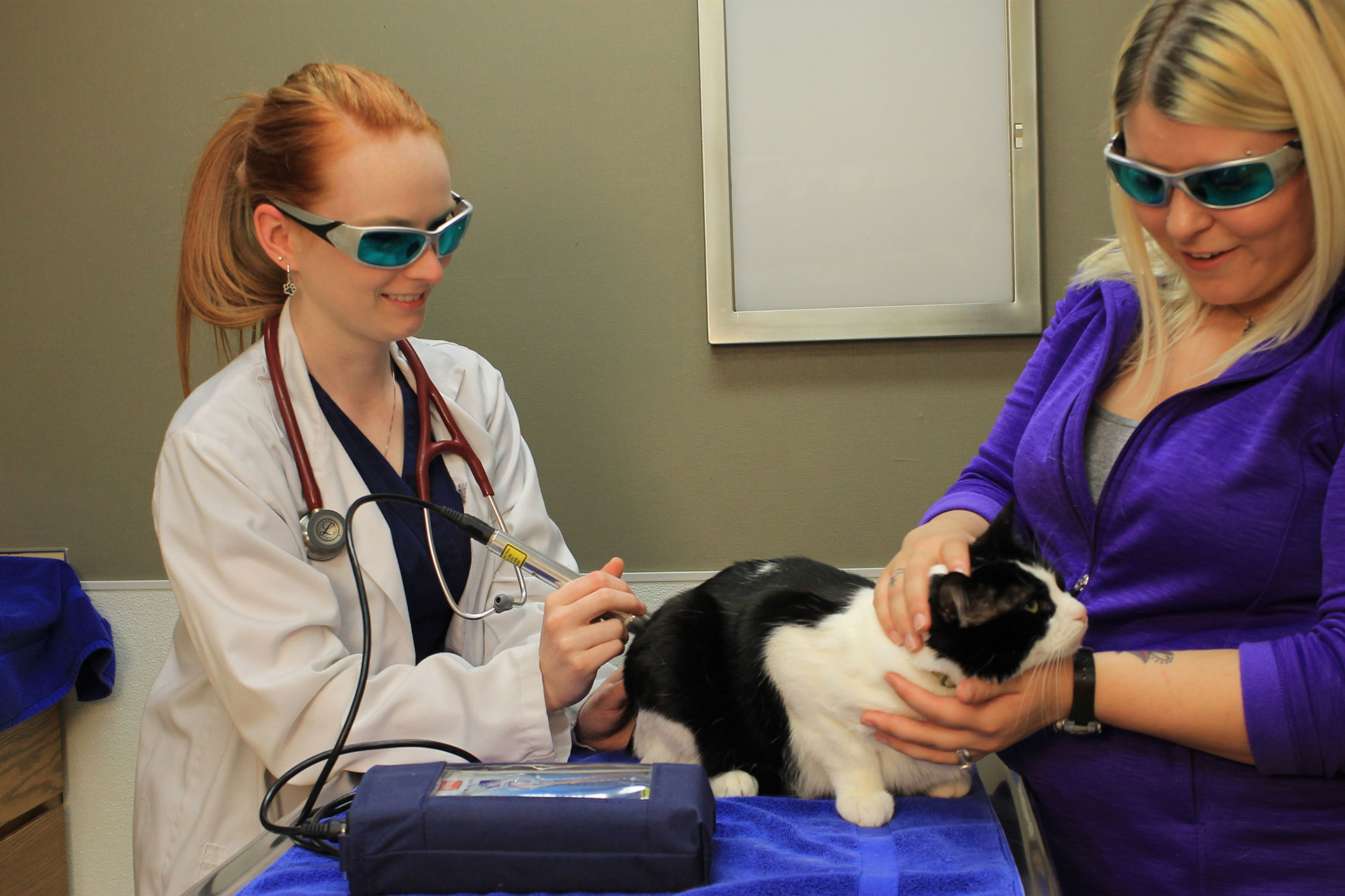 Laser Therapy  Mansfield, OH 